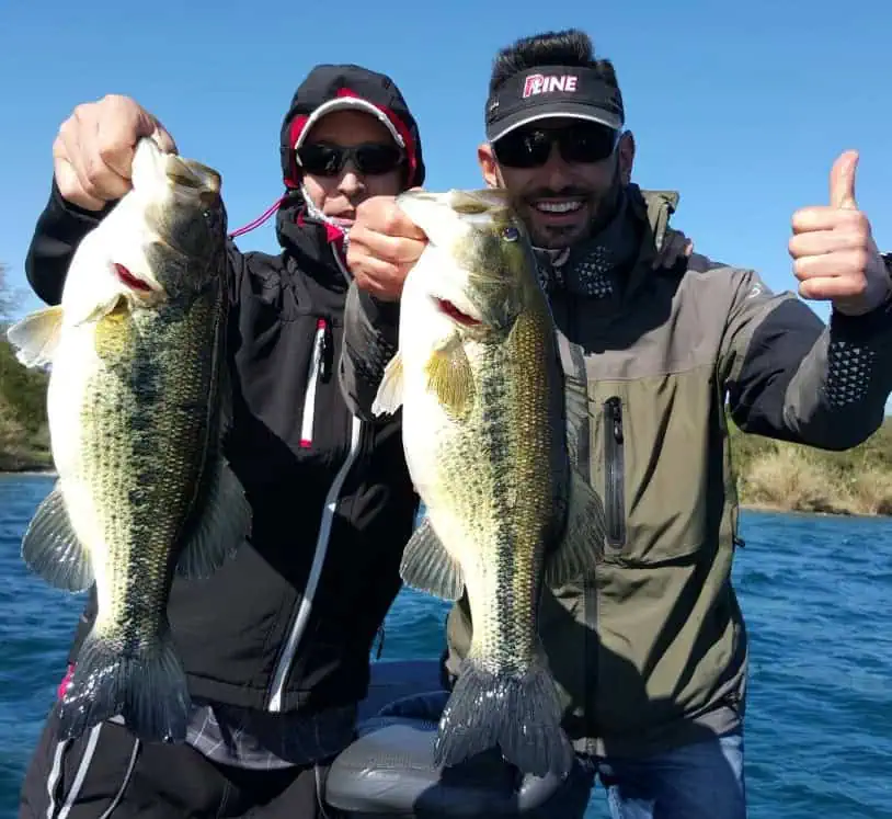 Uscita di pesca — black bass catturato in guida